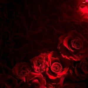 Meet your Posher, Sadia